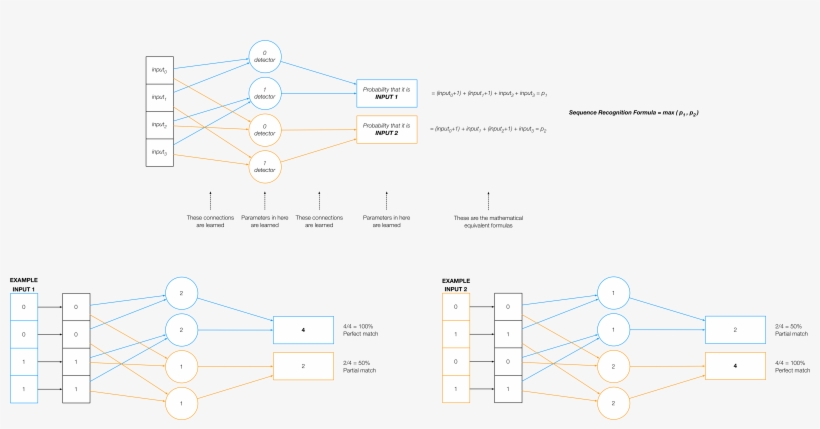 A Typical Network Contains Many Many Neurons Millions - Circle, transparent png #5561851