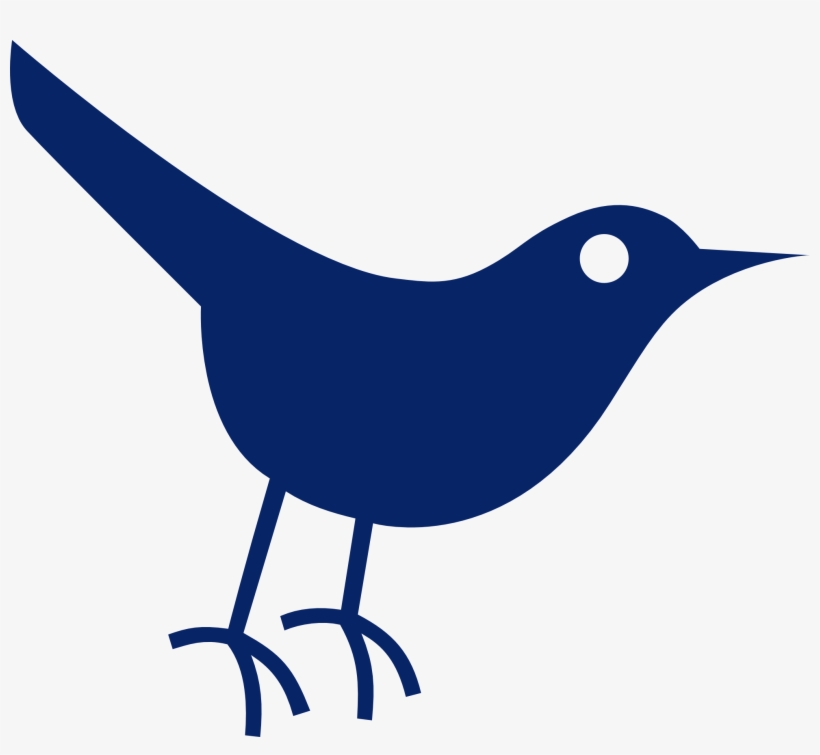 Twitter Bird Tweet Tweet 54 1969px 65 - Twitter Bird Icon, transparent png #5562329