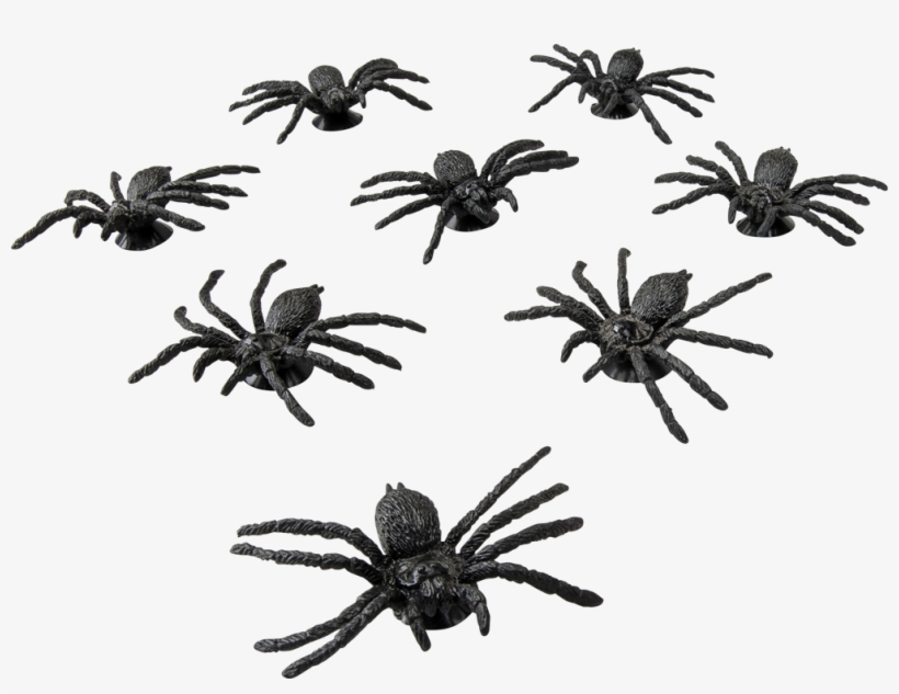 Window Decoration Spider 8 Pcs, , Large - Edderkopper Til Vinduesdekoration Børn, transparent png #5562776
