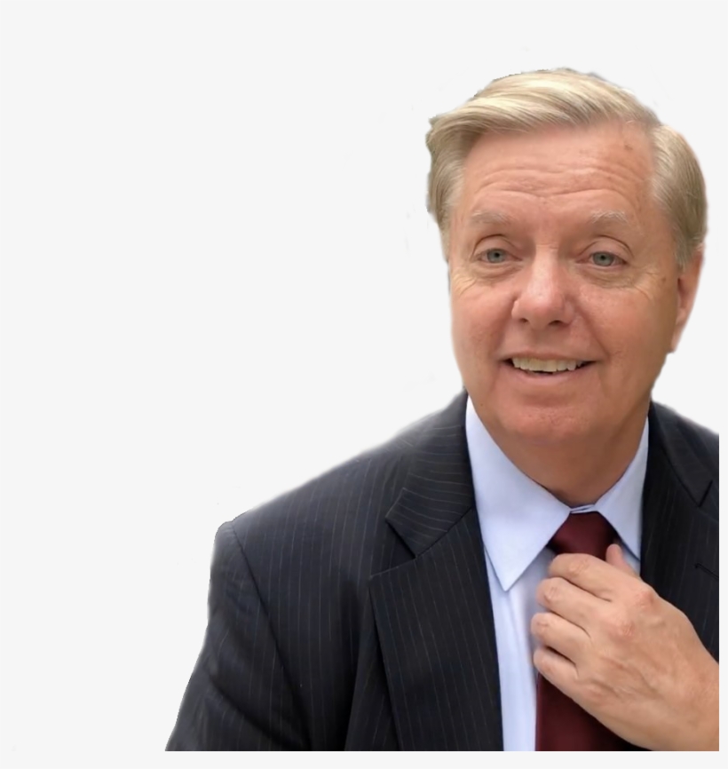 Post - Lindsey Graham Photo Protester, transparent png #5564029