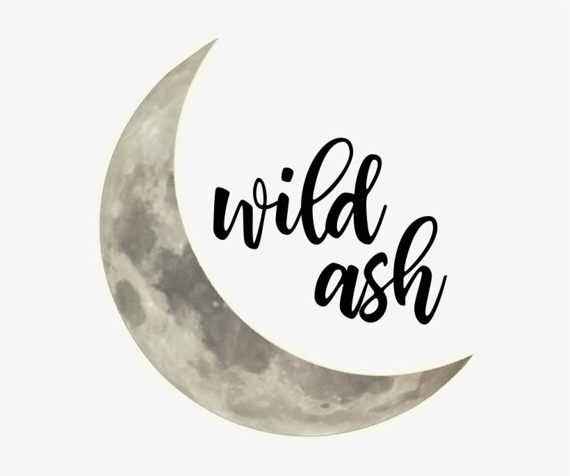 Logo - Photograph, transparent png #5564122