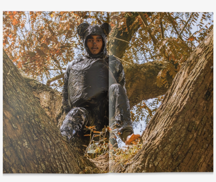 Autumn, transparent png #5564123