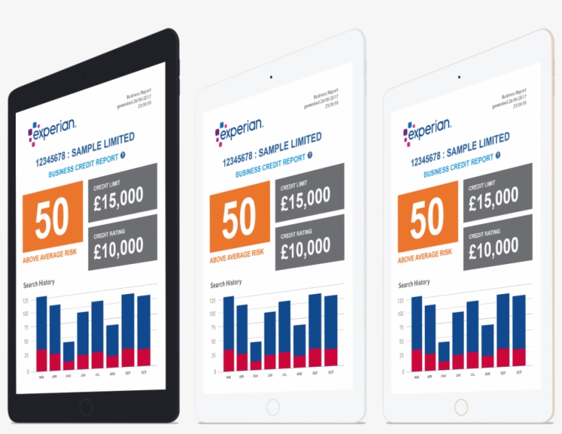 Sample Credit Reports Sample Credit Reports For Teaching - Report, transparent png #5566260