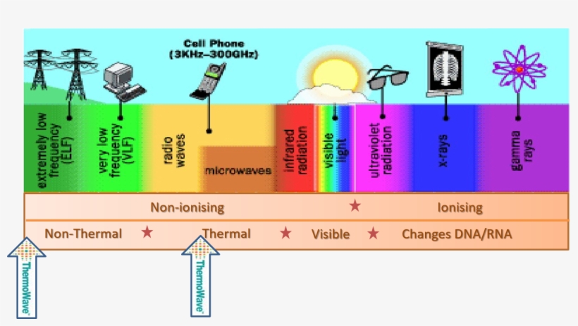 Color Spectrum Graphic - Cell Phone Radiation, transparent png #5567553