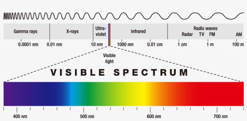 The Colors Range From Short Wavelengths To Long Wavelengths, - Comprimento De Onda Visivel, transparent png #5567663