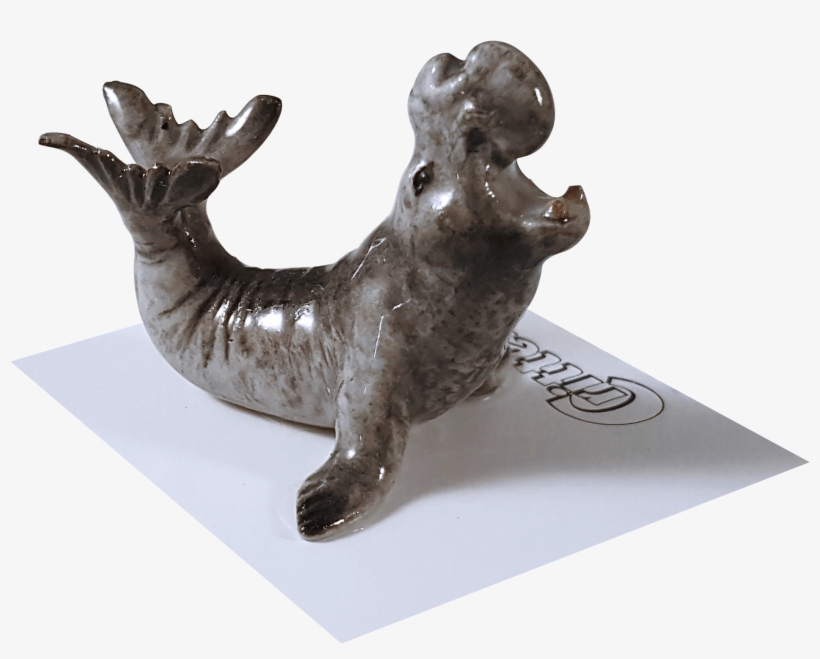 "mirounga" Elephant Seal, transparent png #5570235