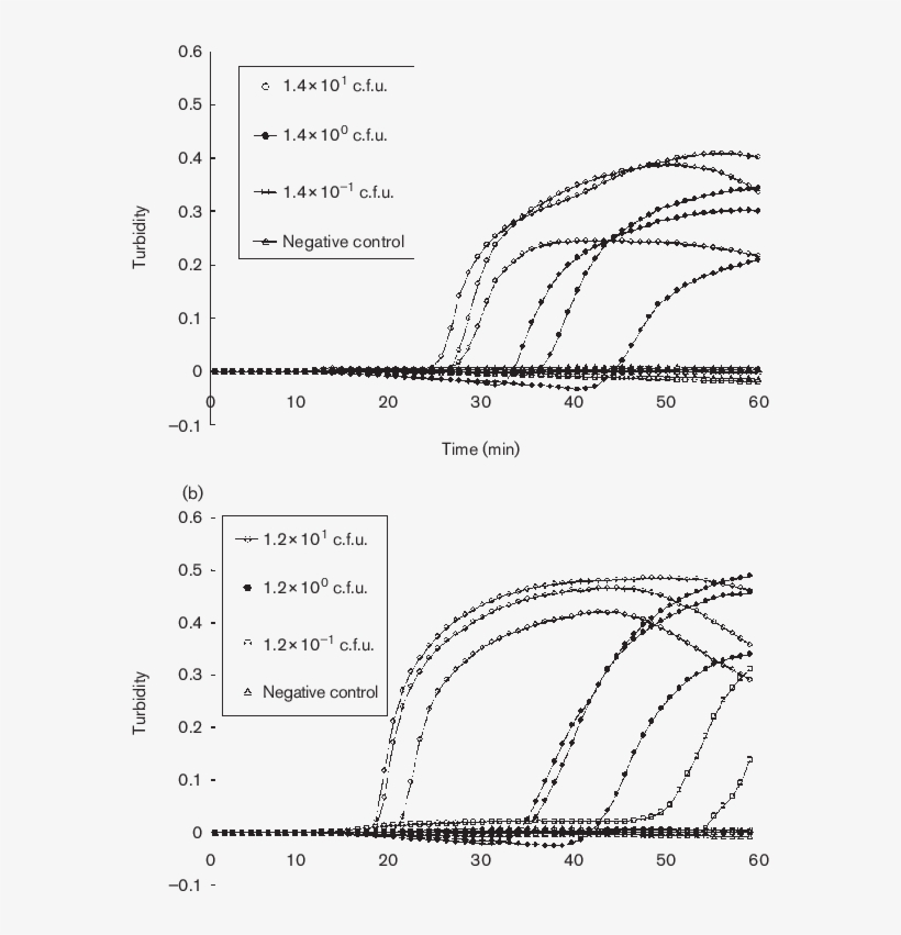 Download - Diagram, transparent png #5570284
