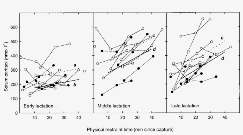 Cortisol Response During 45 Min Of Physical Restraint - Drawing, transparent png #5570475