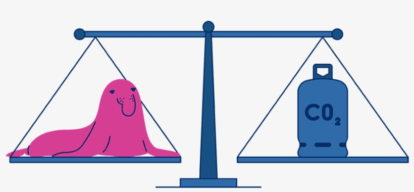 On Average, People Who Switch To, transparent png #5570613