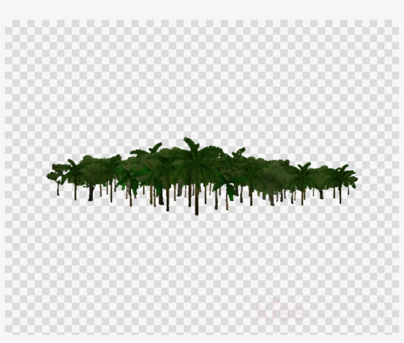 Jungle Trees Transparent Background Clipart Jungle - Jamaica Map No Background, transparent png #5572998