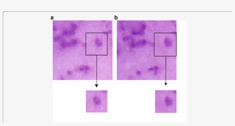 Comparison Of Composite Images Before And After Color - Color, transparent png #5573607