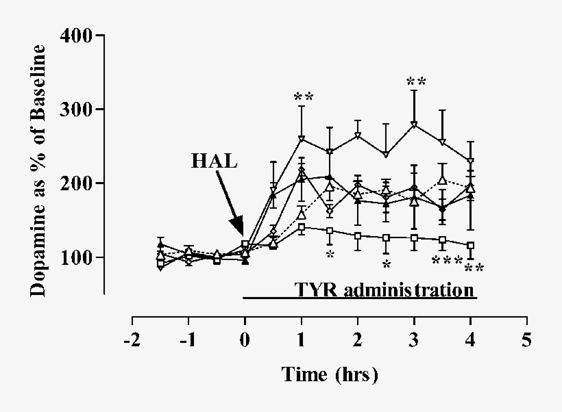 Effects Of Haloperidol (1 - Dopamine, transparent png #5574311