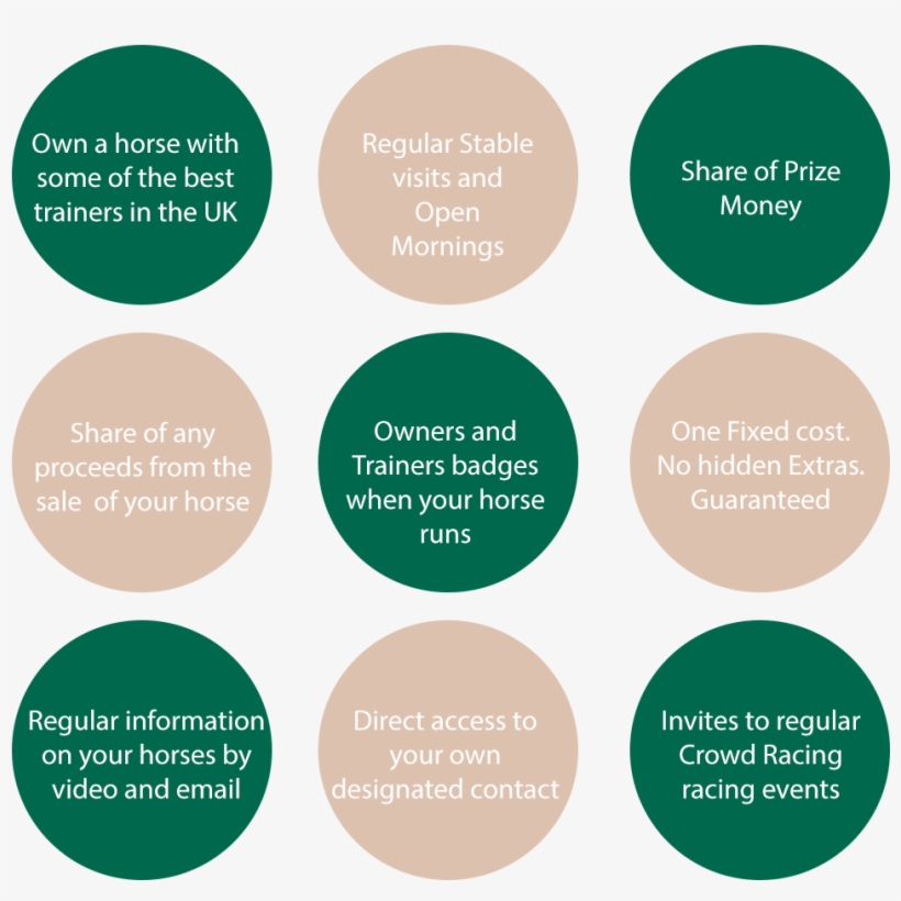 9 Reasons To Own A Racehorse - Christian Fish Icon, transparent png #5574721