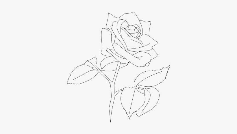 Jpeg, transparent png #5575739
