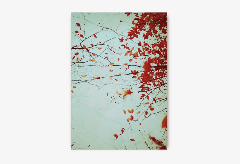 Autumns Reach Postcard - Love Qvotes Plus, transparent png #5576432