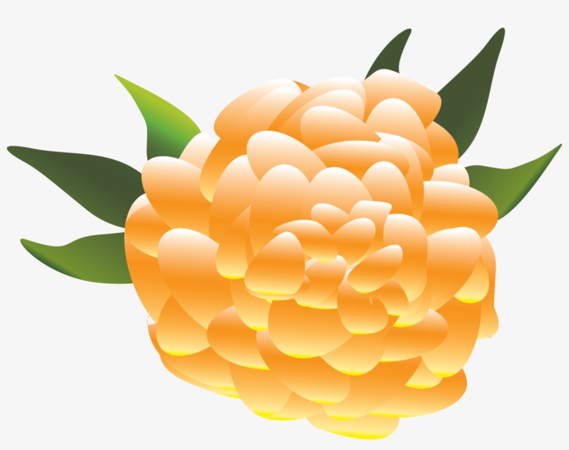 Flower Orange Flower Yellow - Mexican Flowers Clip Art, transparent png #5577470