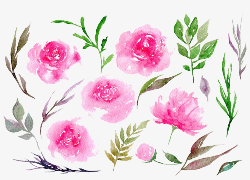 Report Abuse - Watercolor Pink Peonies Png, transparent png #5579247