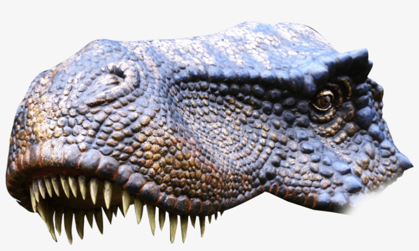 T Rex T Rex - Tyrannosaurus, transparent png #5579500