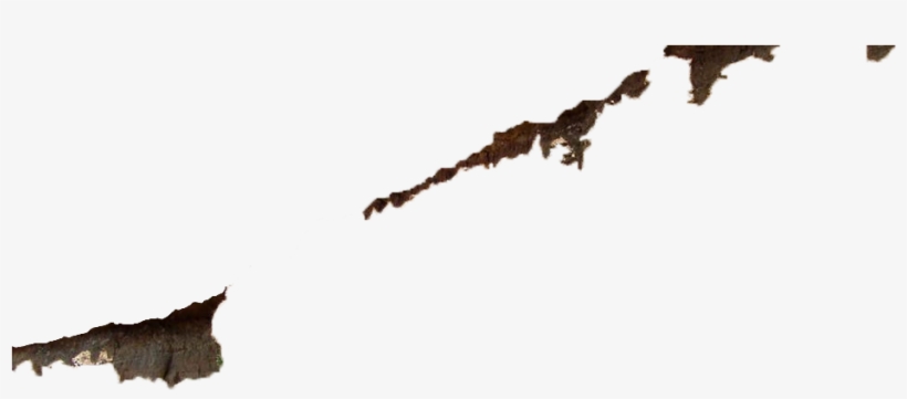 Dmanisi, transparent png #5579892