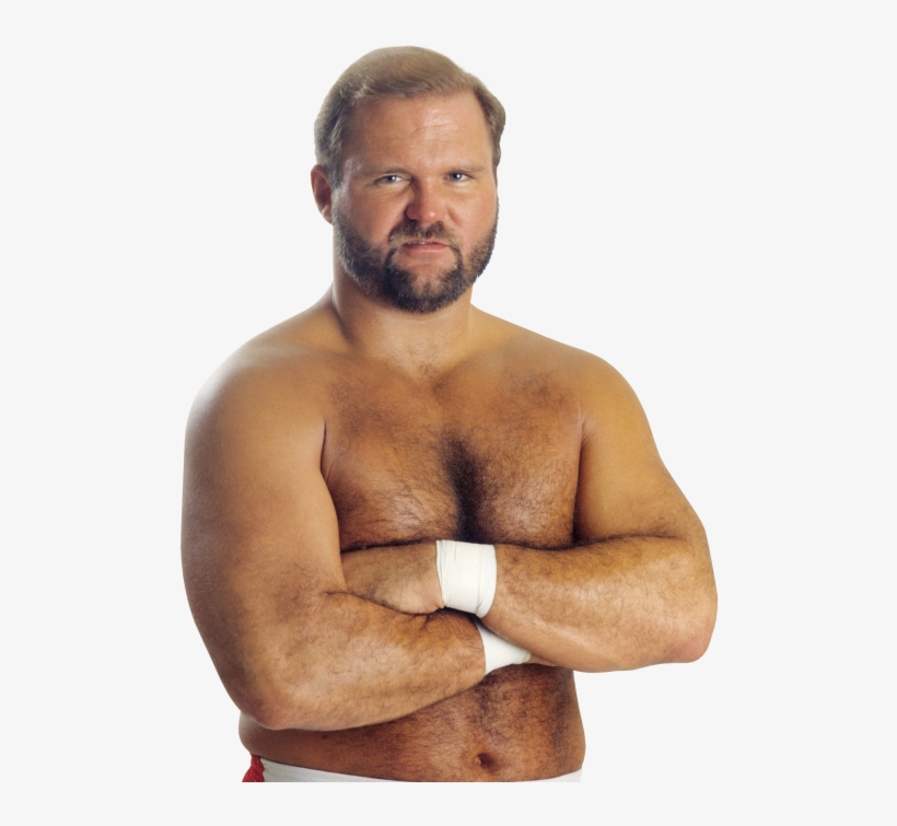 Arn Anderson Pro - Arn Anderson, transparent png #5583047