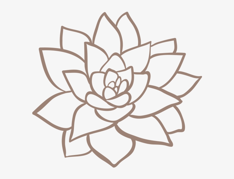 Wooden Signs - Succulent Plant, transparent png #5583399