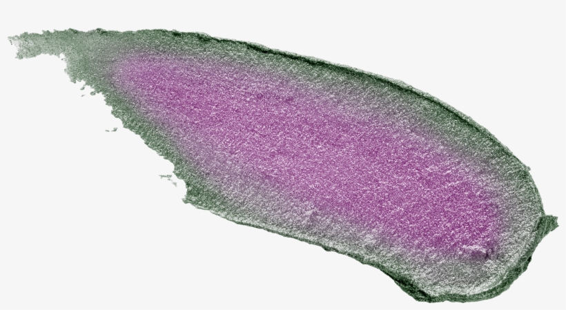 La - Unicorn Tears Gin Liqueur, transparent png #5583518