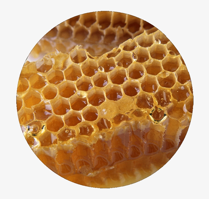 Ingredients - Honey - Honeycomb, transparent png #5583590