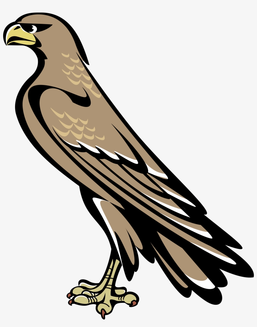 Falcon Symbol Coat Of Arms, transparent png #5585269