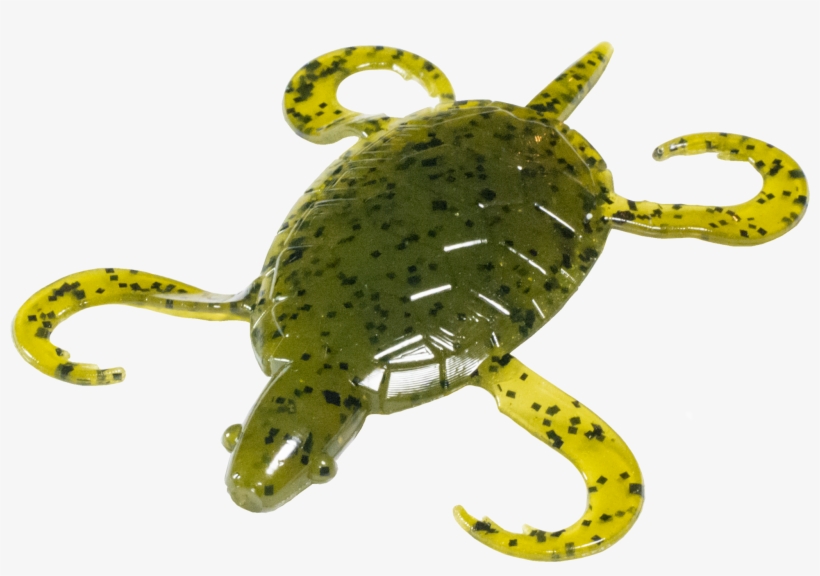 Green Pumpkinseed - Pumpkinseed, transparent png #5585627
