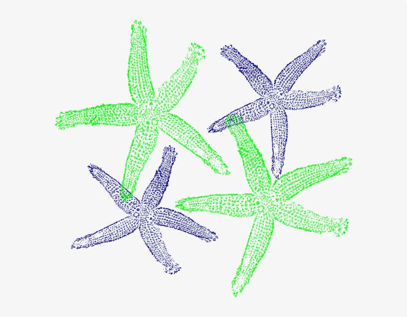 How To Set Use Starfish Prints Clipart, transparent png #5585721