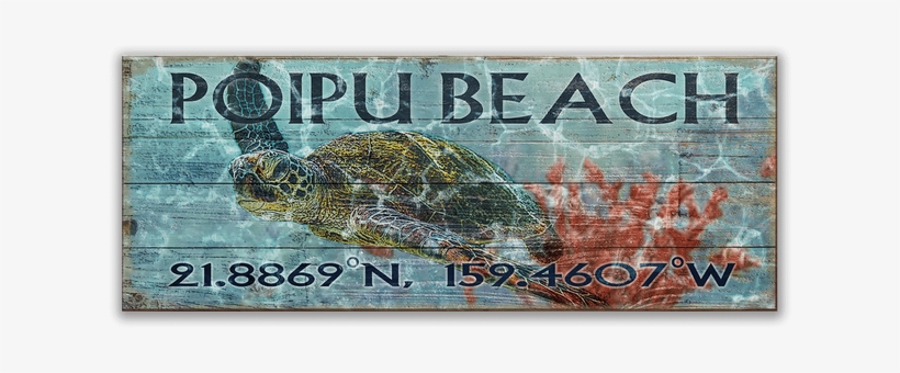 View Zoom Sea Turtle Longitude Latitude Sign - Latitude, transparent png #5586352