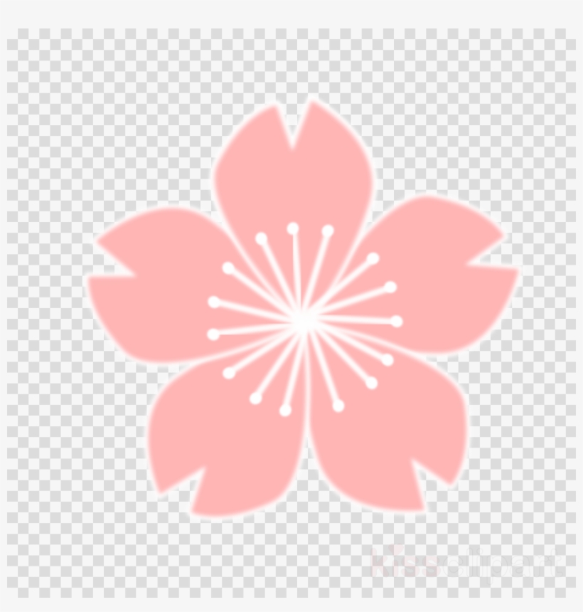 Sakura Png Clipart Cherry Blossom Clip Art - Cherry Blossom Drawing, transparent png #5587276