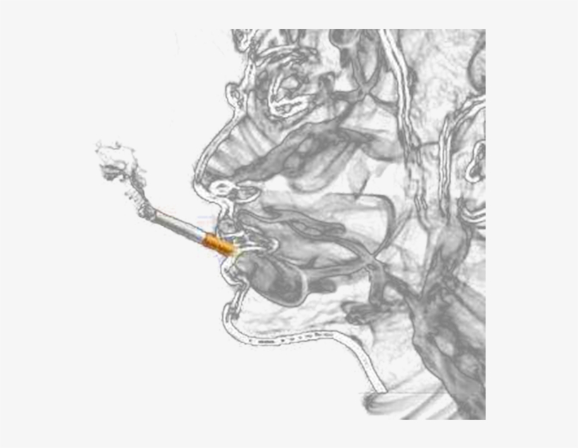 Ban Poster World No Tobacco Day Smoky - Smoke Art, transparent png #5588593