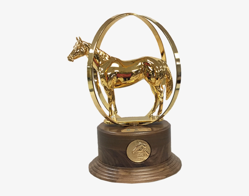Aqha World Champion Duplicate Trophy - Aqha World Show Trophy, transparent png #5589291
