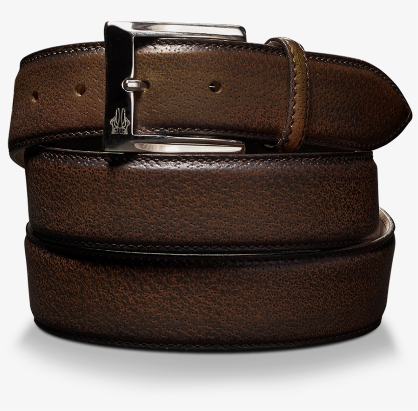 Belt In Anilkiss Zenzero - Belt, transparent png #5590430