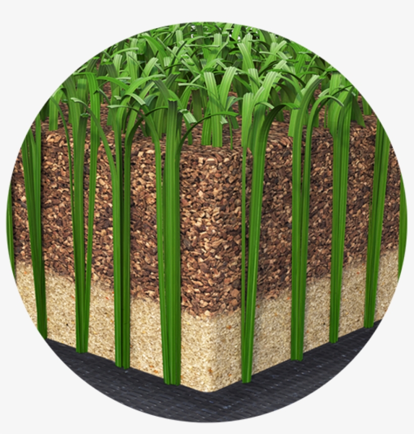Purefill - Coconut, transparent png #5590608