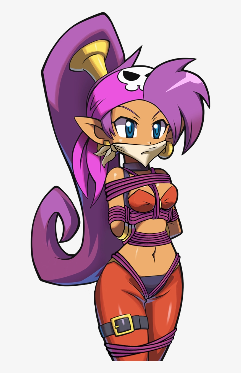 View Samegoogleiqdbsaucenao Pirate Shantae ,, transparent png #5591005