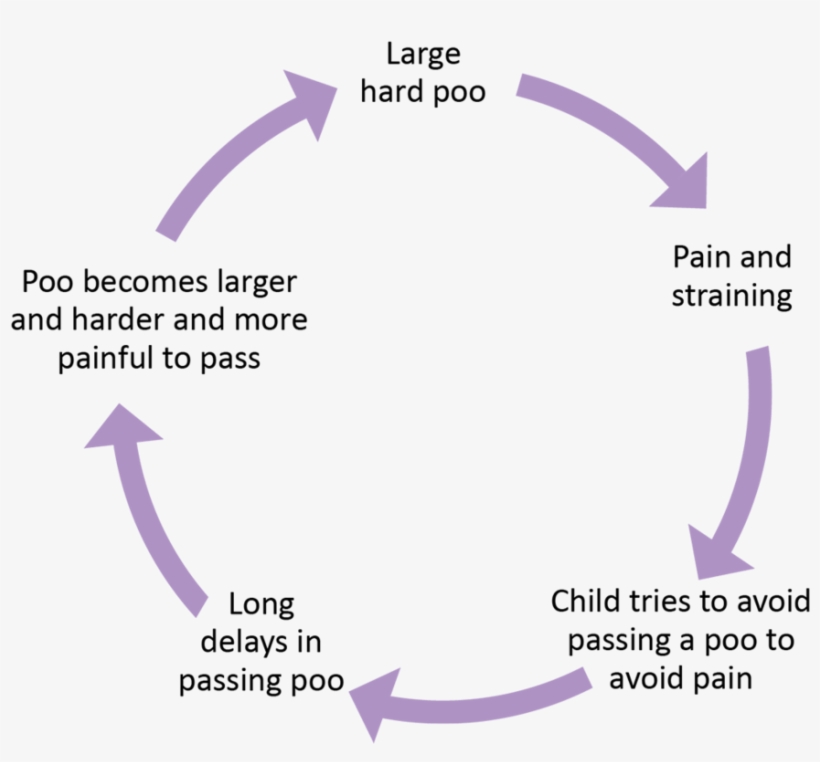 Fd17260 Nasty Cycle2 - Constipation In Children Cycle, transparent png #5595417