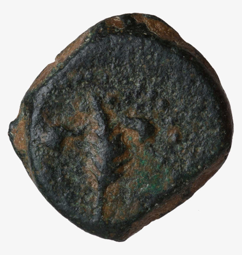 Palm Branch With Fillet - Artifact, transparent png #5596073