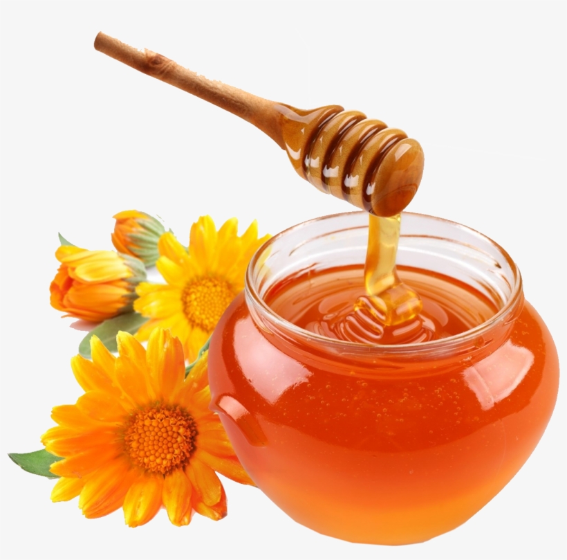 Queen Bee 3 Jpg 11 Mar 2014 - Mat Ong, transparent png #5597770