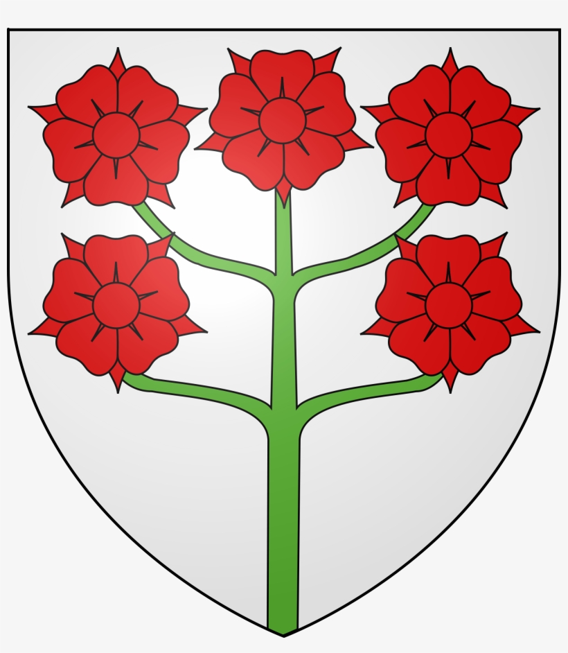 Open - Dianthus, transparent png #5598770
