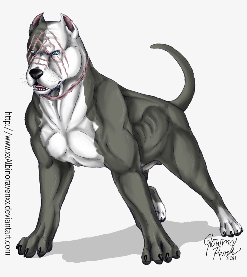 Svg Free Stock Fredward The By Casualgee On Deviantart - Pitbull Muscle Drawing, transparent png #560795