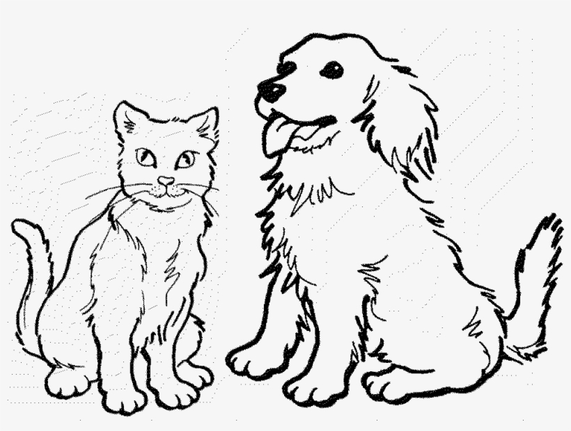 Dog And Cat Drawing At Getdrawings Cat And Dog Easy Drawing Free Transparent Png Download Pngkey