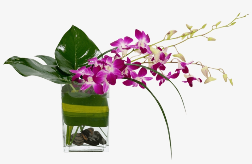 Tropical Breeze - Vase, transparent png #560982
