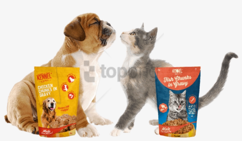 Dog Food - Dog Or Cat Food, transparent png #561010