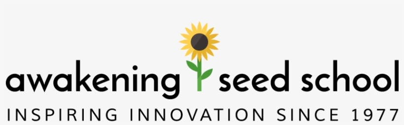 Looking For Something Try Searching For It - Awakening Seed, transparent png #561419