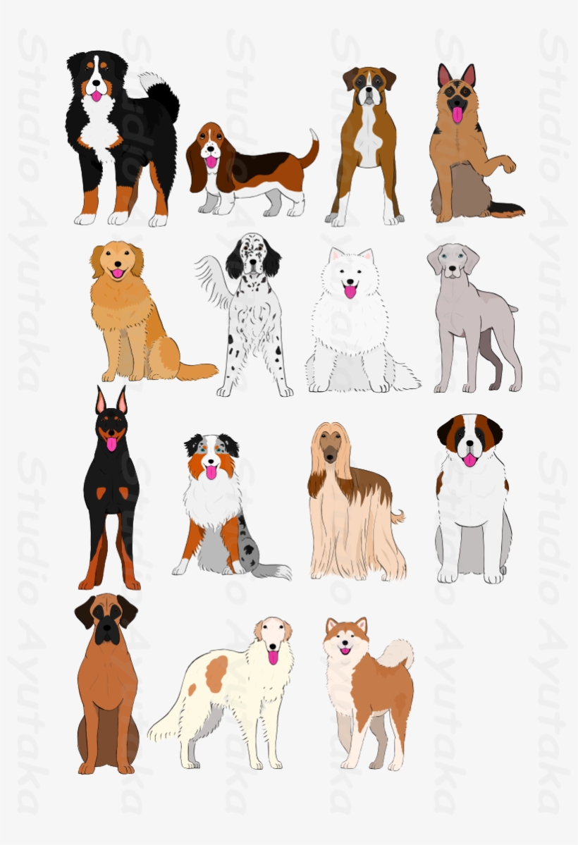 Dogs Clipart Watercolor - Dogs Chart, transparent png #561517
