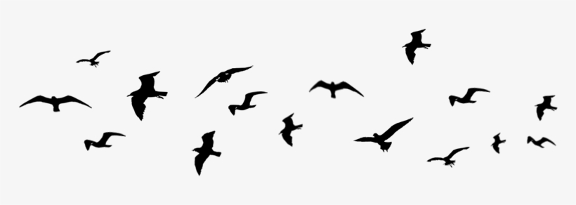 The Bird Dog Real Estate Investment And Short Sale - Flock, transparent png #561859