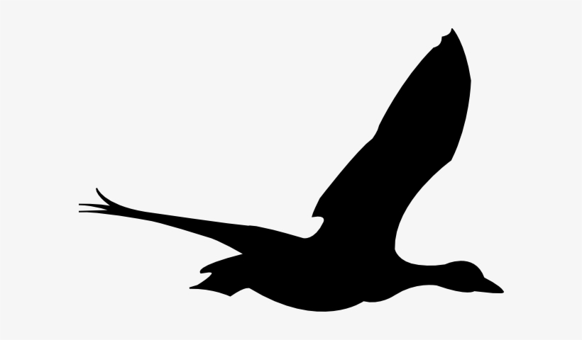 Sea Bird Clipart Bird Fly - Flying Birds Animation, transparent png #561914