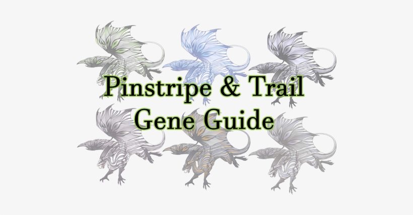 This Guide Is A Showcase Of The Pinstripe And Trail - Portable Network Graphics, transparent png #561993